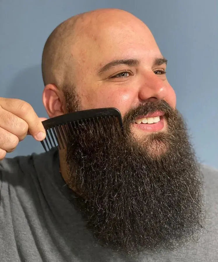 Chicago Comb Model 10 image 1